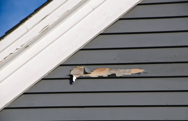 Best Shed Removal  in Valparaiso, IN
